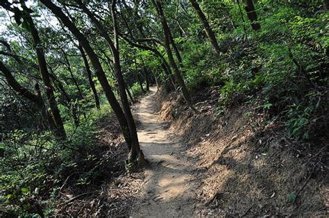 福人山|[桃園楊梅]．福人登山步道（Tony的自然人文旅記第0996篇）